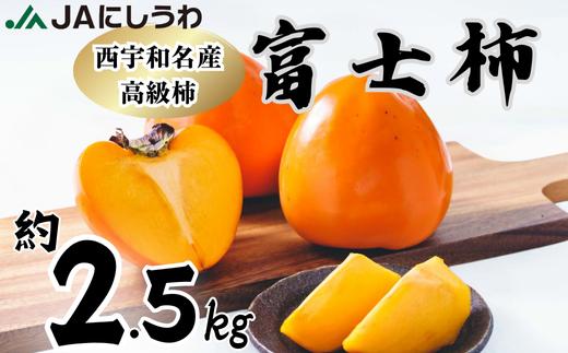 
            JAにしうわの季節のくだもの(富士柿約2.5kg)＜D08-88＞【1516812】
          