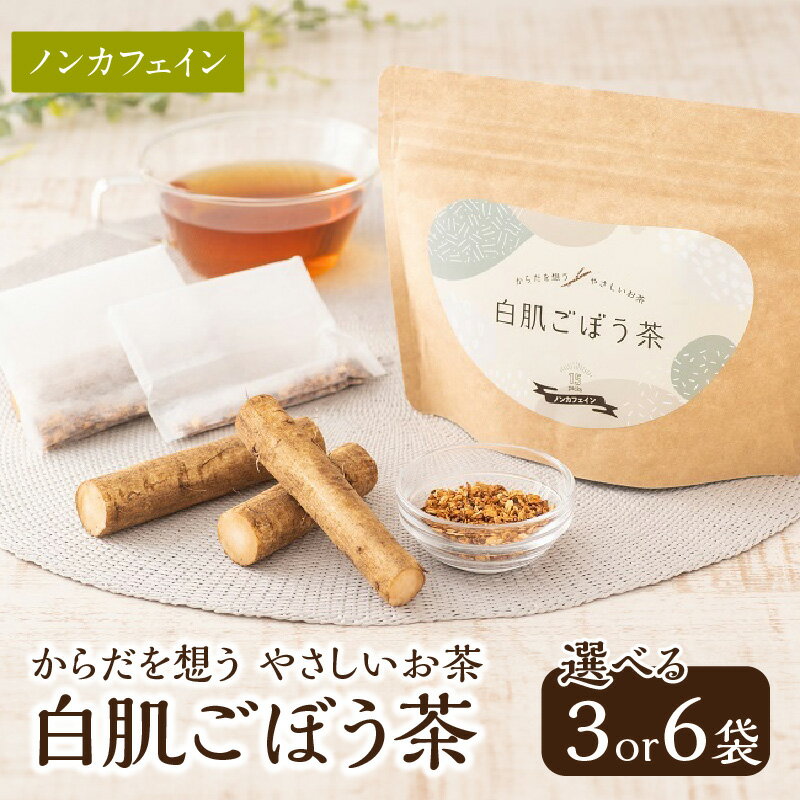 【ふるさと納税】白肌ごぼう茶【選べる内容量】3袋～ お茶 茶 ごぼう 牛蒡 戸次ごぼう ごぼう茶 ティーパック 紅茶 健康茶 食物繊維 料理 味噌汁 吸い物 炊き込みご飯 卵焼き お茶漬け 豆腐 うどん 水分補給 長期保存 チャック付き 健康 栄養