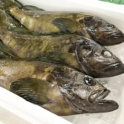 ふるさと納税 日出町 クエの刺身セット(2人前)【大分水産】 |  | 02