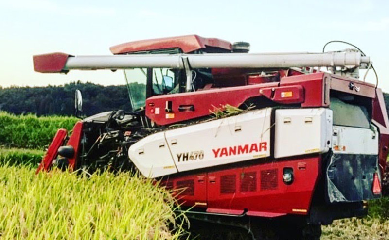 新米予約 令和7年 新潟県産コシヒカリ 特別栽培米 5kg 5キロ 上越市 三和区神田 富永農産 有機肥料、自家製たい肥を使用し米つくり 送料無料