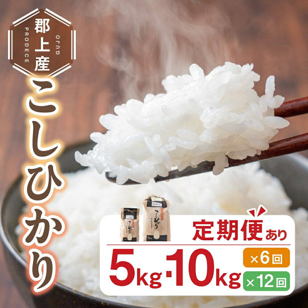 【ふるさと納税】令和7年産 【先行予約】令和8年産 郡上産こしひかり 白米 5kg 10kg 選べる容量 定期便 選べる発送回数 6回 12回 6ヶ月 12ヶ月 食品 米 精米 コシヒカリ お米 コメ こめ 米 14000円 27000円 80000円 160000円 320000円 G0411