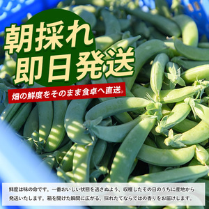 紅はるか約2.3kg・おとなの焼き芋ペースト1瓶セット (マツキアグリ/010-2077) さつまいも 芋 紅はるか 焼き芋 手作り オーガニック栽培 