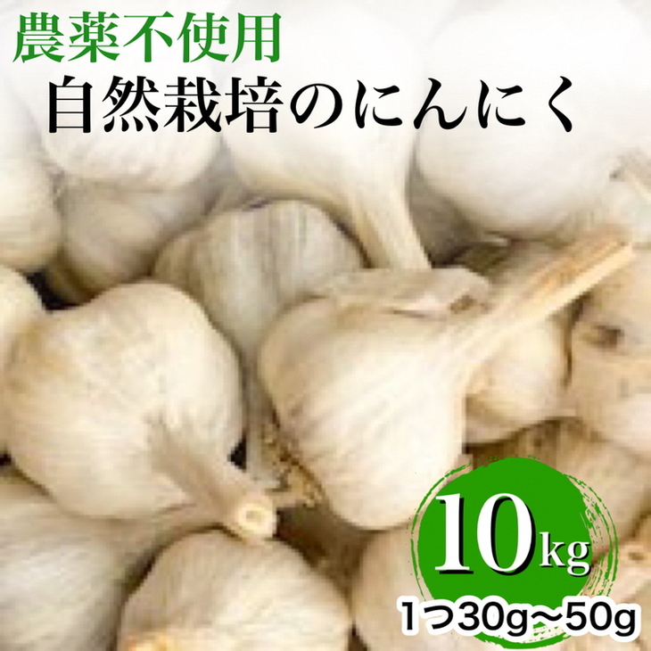 【2025年産 予約】にんにく 10kg 京都府・亀岡産 自然栽培のかたもとオーガニックファームよりお届け ※離島への発送不可 ※2025年6月下旬～9月下旬頃に順次発送予定