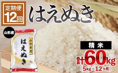 【定期便12回】山形産 はえぬき 5kg×12ヶ月(計60kg) FY24-467