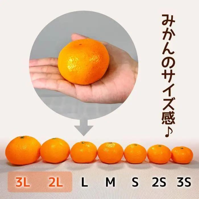 みかん 大玉 どっこいしょ 箱込 5kg ( 内容量約 4.4kg ) 2Lサイズ以上 秀品 優品 混合 有田みかん 和歌山県産 産地直送 家庭用［2026年11月中旬より順次出荷予定］