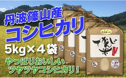新米予約【令和8年産】お米のおいしさ伝えたい！でかんしょ米 丹波篠山産コシヒカリ5kg×4