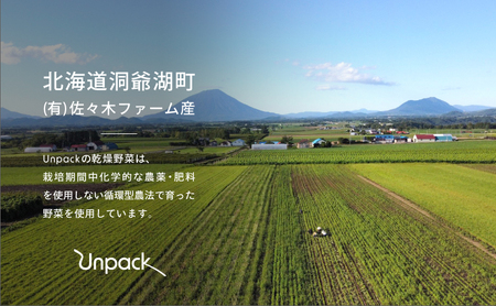 北海道産 乾燥紅くるり大根 100g 詰め替え用 北海道 道産 乾燥 野菜 乾燥野菜 だいこん 大根 ダイコン 紅くるり 無農薬 安心 安全 料理 味噌汁 サラダ マリネ 人気 常温 お取り寄せ 送料
