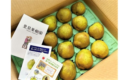 西洋梨（ラ・フランス）５ｋｇ　１６～２０玉　0079-2618