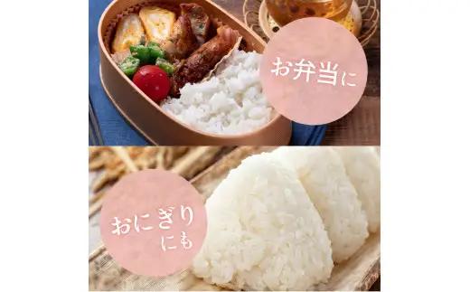 和歌山県産 キヌヒカリ 5kg（2025年産） / お米 きぬひかり 白米 由良町 令和7年 人気 おすすめ ※2025年9月中旬より順次発送予定【sml400-kinu-5D】