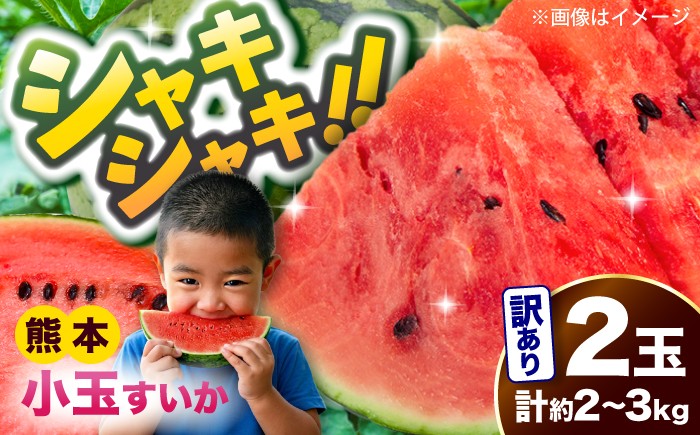
                  【2026年5月より発送 数量限定】訳あり 小玉スイカ 2玉 計約2kg～3kg / スイカ すいか 西瓜 suika watermelon 小玉スイカ 小玉すいか 訳あり ご家庭用 果物 フルーツ くだもの 初夏 さわやか 甘い シャキシャキ お取り寄せ 自宅用 熊本 熊本県 合志 合志市 九州 くまもと 国産【株式会社 Foody's】[AYAT009]
                