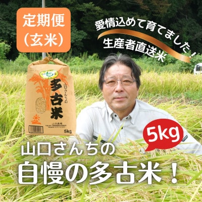 【毎月定期便】山口さんちの多古米コシヒカリ(玄米)5kg全6回【配送不可地域：離島】【4079911】