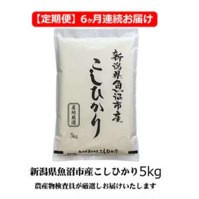 ふるさと納税 魚沼市 【毎月定期便】農産物検査員お奨め　魚沼産こしひかり(精米)5kg全6回