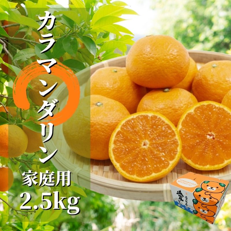 【ふるさと納税】 【先行予約】 カラマンダリン 家庭用 約2.5kg 【4月下旬頃より発送】 | 愛媛 みかん 先行予約 柑橘 お取り寄せ グルメ 期間限定 数量限定 人気 おすすめ 愛媛県 松山市