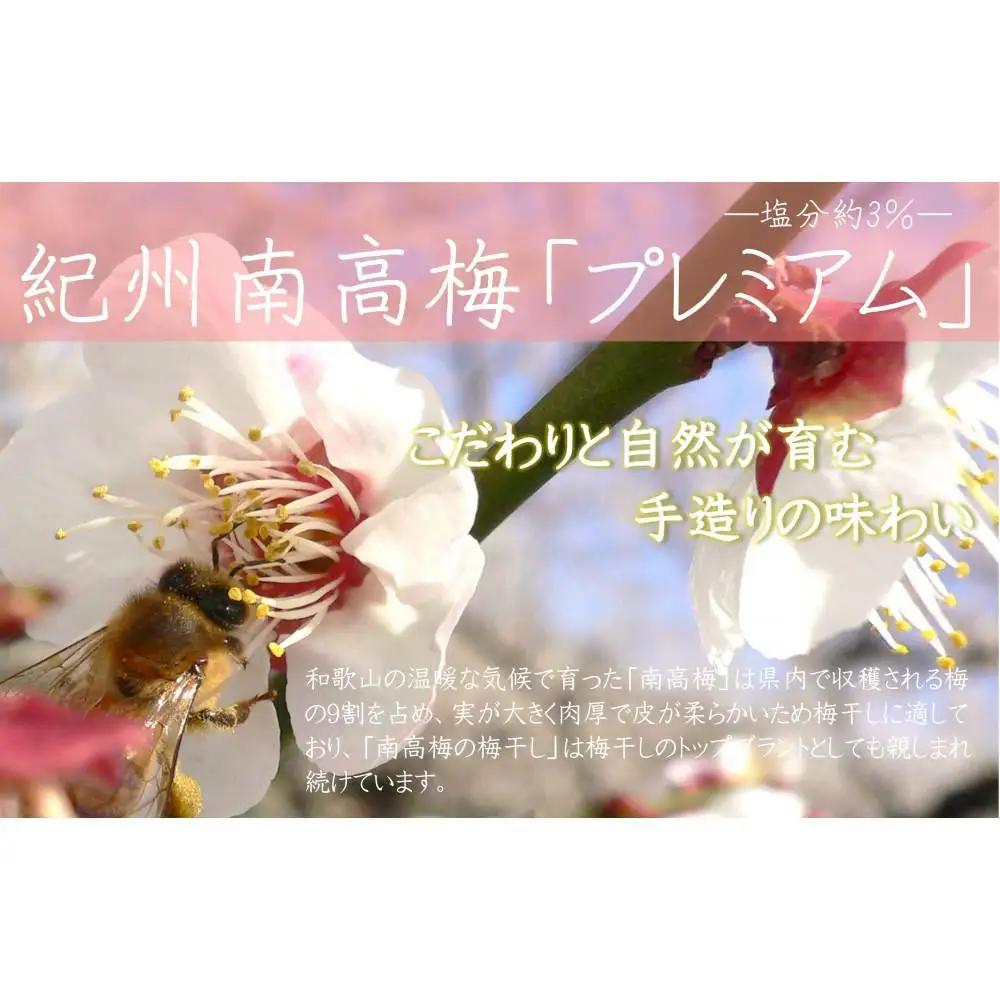 【定期便・3ヵ月毎 全3回】紀州南高梅 プレミアム 850g ［YM12］
