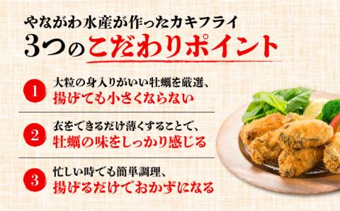 広島G7で提供された牡蠣【全6回定期便】【広島県産】牡蠣屋さんが作ったこだわりの大粒 カキフライ 20個（瞬間冷凍） ＜マルサ・やながわ水産有限会社＞江田島市[XBL016] 定期便