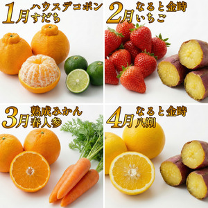 フルーツ 野菜 定期便 12回 定期
