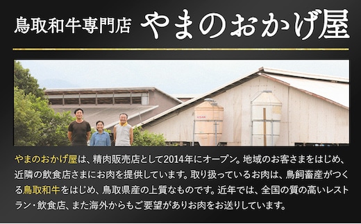 鳥取和牛 焼肉用特上 赤身肉 600g《90日以内に出荷予定(土日祝除く)》鳥取県 八頭町 和牛 牛肉 牛 焼き肉 送料無料