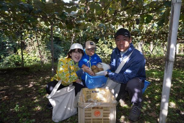 キウイ 2kg 愛媛 国産キウイフルーツ ヘイワード 【2025年11月発送】 数量限定 伊予市｜A20