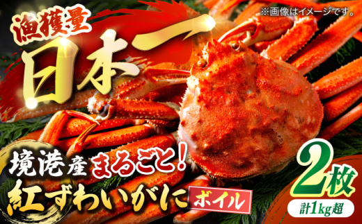 【7月-8月発送不可】山陰沖産 紅ずわいガニ2個  ボイル 冷蔵  蟹 ズワイがに かに カニ ずわい たらば 魚介類 カニ足 かに足 日本海産 [ALDN004]