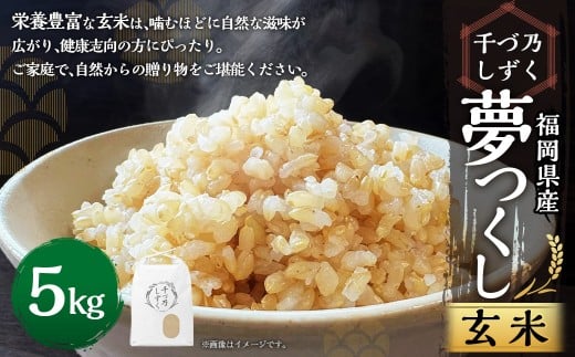 【令和7年産】福岡県産 夢つくし〈千づ乃しずく〉 約5kg 玄米 S003【2025年9月下旬～2026年2月下旬発送予定】 お米 米