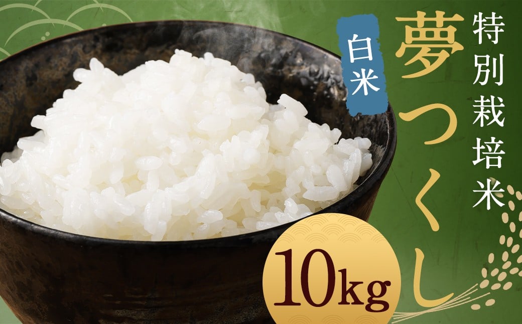 
            【白米】 夢つくし （特別栽培米） 約10kg 福岡県産 令和7年産 米 こめ コメ
          