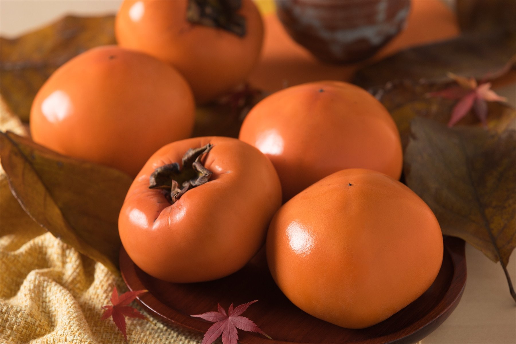 
            【2026年発送】八頭町が誇る日本随一の甘柿『花御所柿』 3kg
          