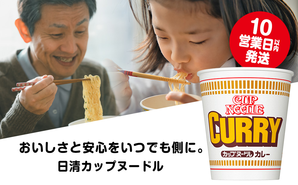 日清 カレーヌ−ドル★1箱（20食入）