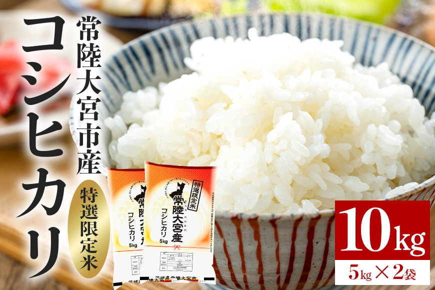 【先行予約】常陸大宮産 コシヒカリ 10kg(5kg×2) 特選限定米 白米 精米 おこめ ご飯 国産米 お米ギフト ブランド米 贈答用 人気のお米 美味しいお米 【一般財団法人常陸大宮市観光物産協会】【ho1397】