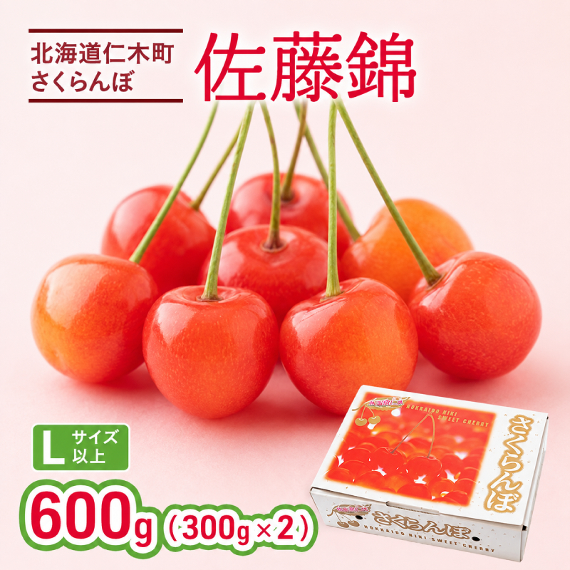 2027年発送 さくらんぼ 佐藤錦 600g (300g×2P) Lサイズ 北海道 仁木町　国産 旬のフルーツ 旬の果物 デザートサクランボ チェリー フルーツ 果物 果物類 仁木 [カムナビファーム]