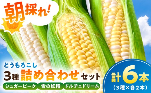 【千葉県産】朝採れとうもろこし3種詰め合わせセット（3種×各2本 計6本） mi0113-0002 【野菜 旬 食べ比べ 詰め合わせ 高糖度 生食可】