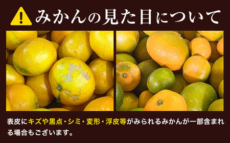 ご家庭用 熟成みかん 5kg 先行予約 みかん 