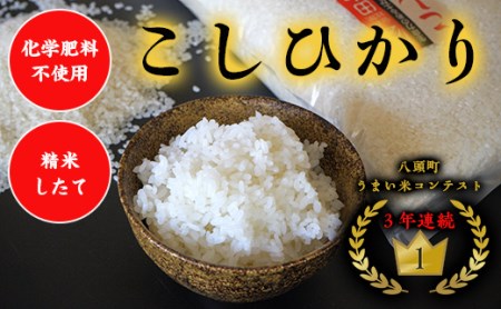 Y181 【令和7年産 新米】特別栽培米コシヒカリ10kg【令和7年10月以降発送】