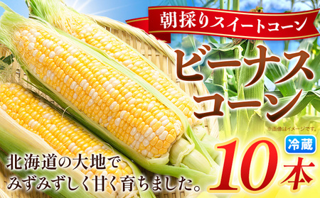 朝採り とうもろこし ビーナスコーン スイートコーン 10本 《8月上旬-8月末頃出荷予定》山下農場 バイカラー 大粒 コーン st-p
