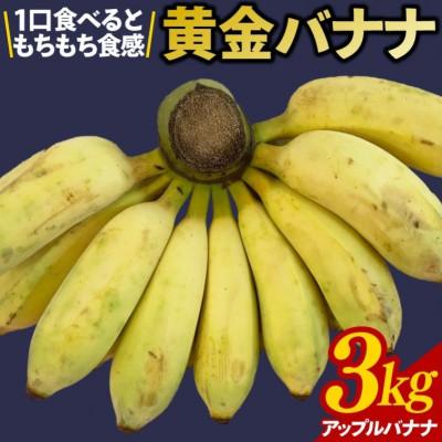 ふるさと納税 豊見城市 沖縄県豊見城市産　琉球黄金バナナ約3kg
