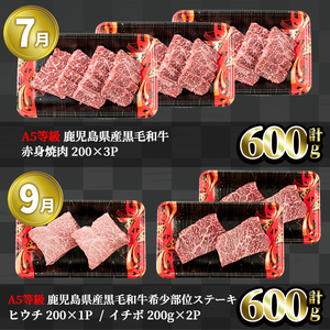 ＜定期便・全5回＞カミチク 特選黒毛和牛定期便 国産 鹿児島県産 黒毛和牛 【カミチク】T10