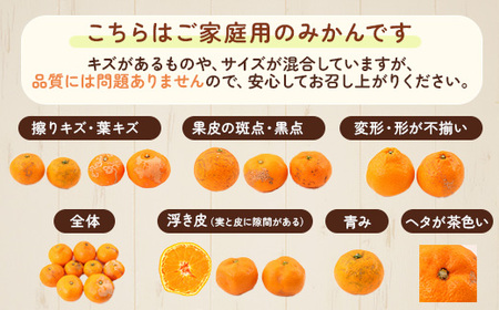 【先行予約】【数量限定】濃厚有田みかん（ご家庭用）10kg 【2024年11月上旬～11月下旬頃発送】または【2024年12月上旬～12月下旬頃発送】※北海道・沖縄・離島への配送不可