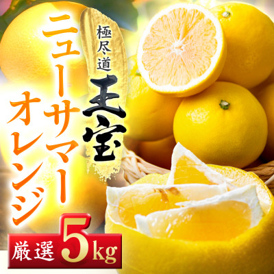 
            ＜愛媛名産＞玉宝ニューサマーオレンジ　5kg＜E64-38＞_ みかん ミカン 柑橘 日向夏 ニューサマーオレンジ フルーツ くだもの 果物 ふるーつ 青果 果実 甘い ジューシー 産直 産地直送 旬 柑橘類 人気 愛媛 果汁 【1510842】
          