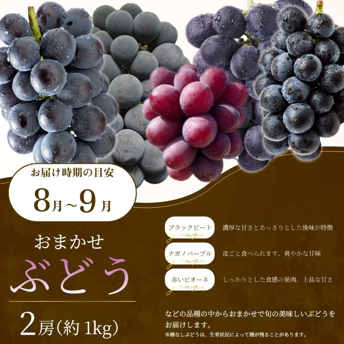 【年4回定期便】瀬戸内の恵みがいっぱい！人気の厳選フルーツ定期便 いちご  桃 ぶどう みかん 広島県三原市 イチゴ もも ブドウ 柑橘 T06