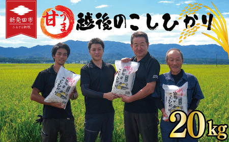 白米令和7年産 コシヒカリ 20kg 白米白米白米白米 toushin034