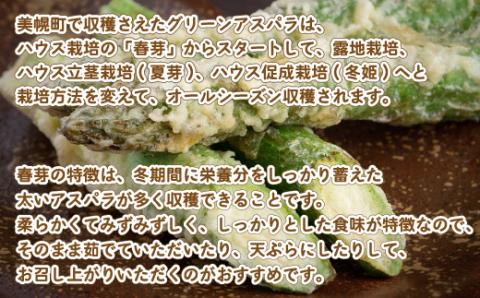 [先行受付]2025年産 柔らかくてみずみずしい朝取りグリーンアスパラ(春芽)3L 1kg【配送不可地域：離島】 【 ふるさと納税 人気 おすすめ ランキング アスパラ アスパラガス グリーンアスパラ