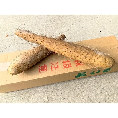 
            佐藤農場の長芋＜5kg＞【1098781】
          