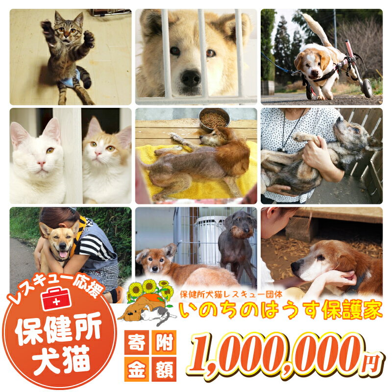 【ふるさと納税】保健所犬猫レスキュー【返礼品なしのご寄附】