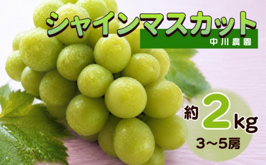 シャインマスカット 約2kg 3～5房 岡山県新見市 中川農園 【先行予約 2026年10月上旬から順次発送】