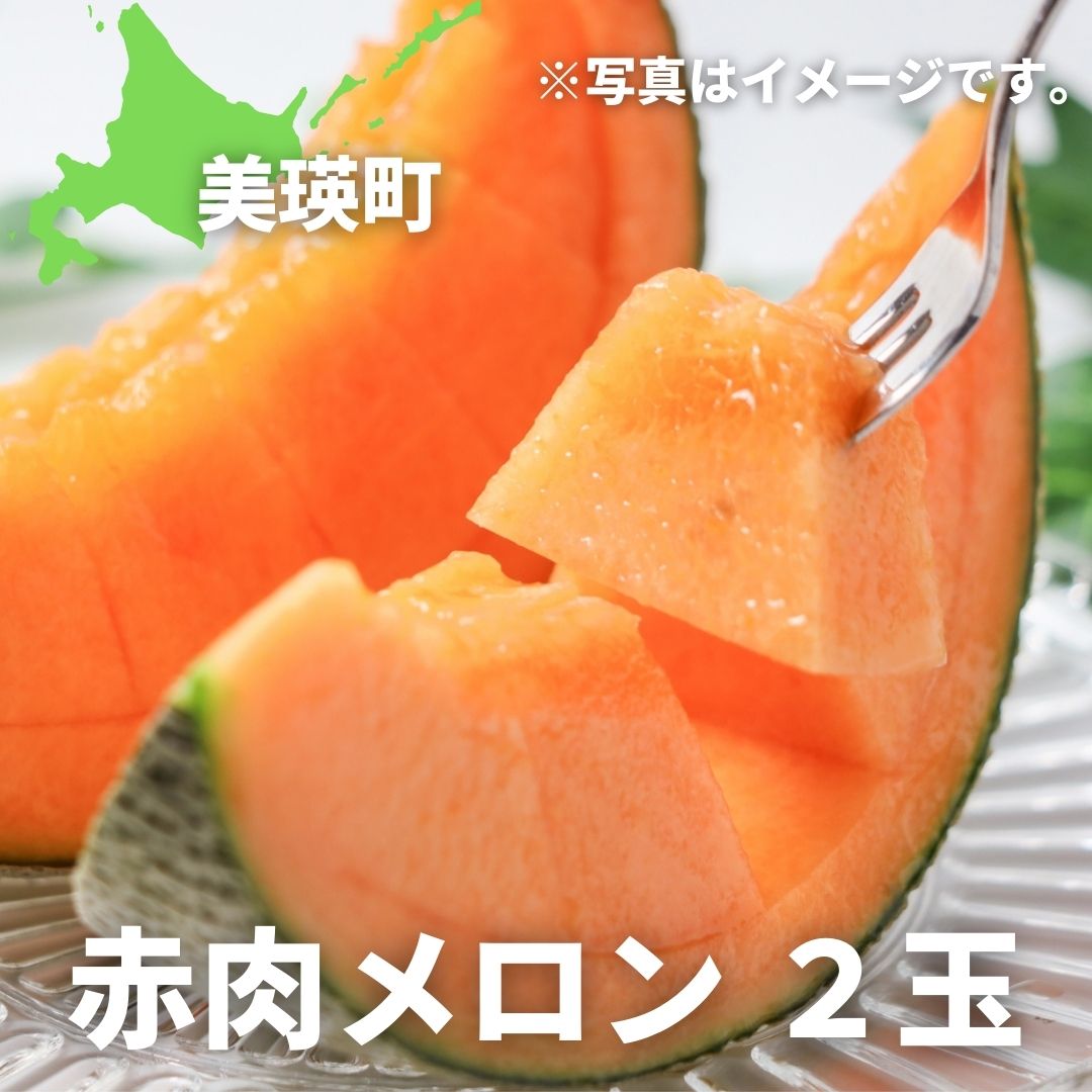 【ふるさと納税】≪令和8年産予約受付！≫ 赤肉 メロン 2玉 北海道 北海道美瑛 北海道美瑛町　美瑛町　美瑛 メロン スイーツ 果物 野菜 送料無料 美景農園[020-95]