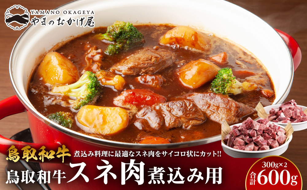 70.鳥取和牛　スネ肉煮込み用　300g×2パック 313726_AJ059