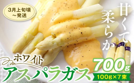 
            期間限定 ホワイトアスパラガス 700g
          
