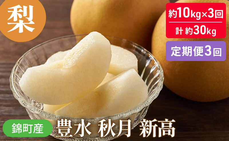 定期便 3回 梨 約10kg×3回 計約30kg 豊水 秋月 新高 錦町産 ナシ 果物 くだもの なし デザート フルーツ お楽しみ ※配送不可：離島 