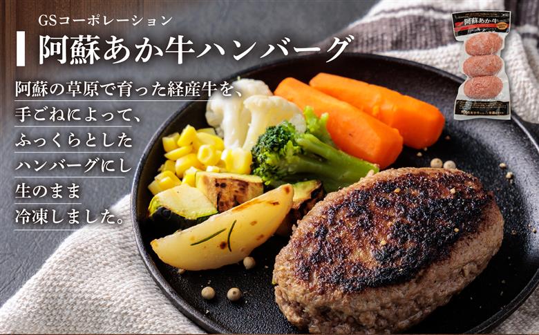 ハンバーグ バラエティーセット 6種類 約1.7kg あか牛 牛肉 豚肉 トマト 煮込み 詰め合わせ 食べ比べ 贅沢 豪華 人気 美味しい ジューシー 熊本 阿蘇