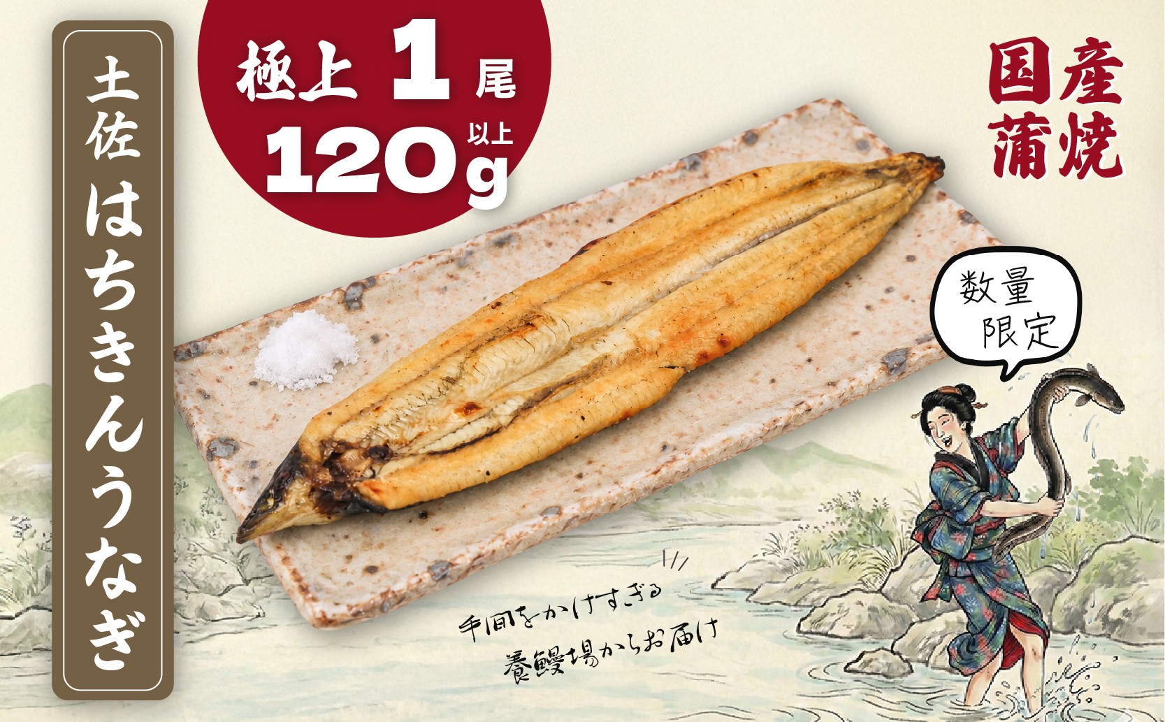 
                  限定 国産 鰻 土佐はちきん うなぎ 白焼き 120g以上 × 1尾 | 白焼 ウナギ しらやき うなぎ白焼き 鰻白焼き ウナギ白焼き 蒲焼き きざみ ひつまぶし めす 塩 わさび 丑の日 高知県 南国市
                