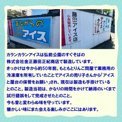 よくばりアイスセット【ケースアイス×5種類・コーン×50個・盛り付け用ヘラ付き】【配送不可地域：離島】